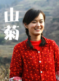 国产精品网站在线观看